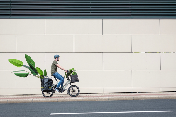 Go a Little Greener in the New Year with an Eco-Friendly E-Bike Resolution