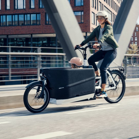 Riese & Muller '24 Packster2 70 Vario