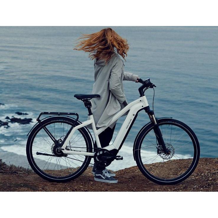 Riese & Müller Electric Bikes Charger3 Mixte GT Touring-Oregon E-Bikes